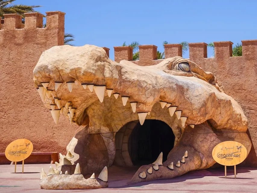 Agadir city, Crocoparc and camels in one day
