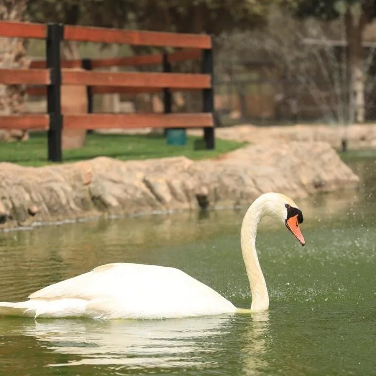 Villate Limoune gardens and animal visit — Tour photograph 2